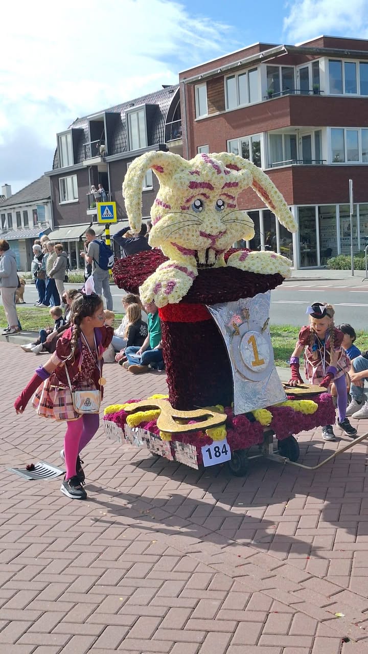 Buurtschap Schijf